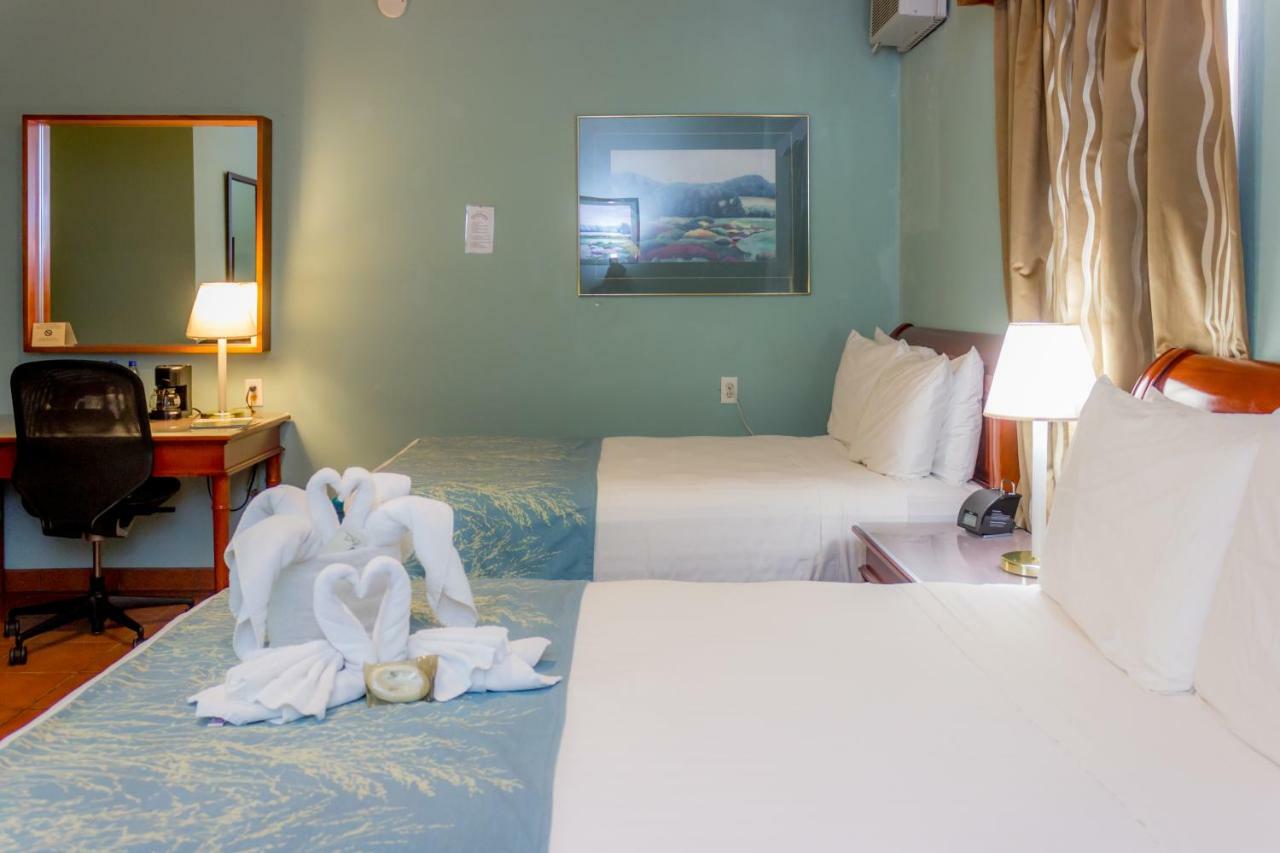 Rolson Hotel سان إجناسيو المظهر الخارجي الصورة