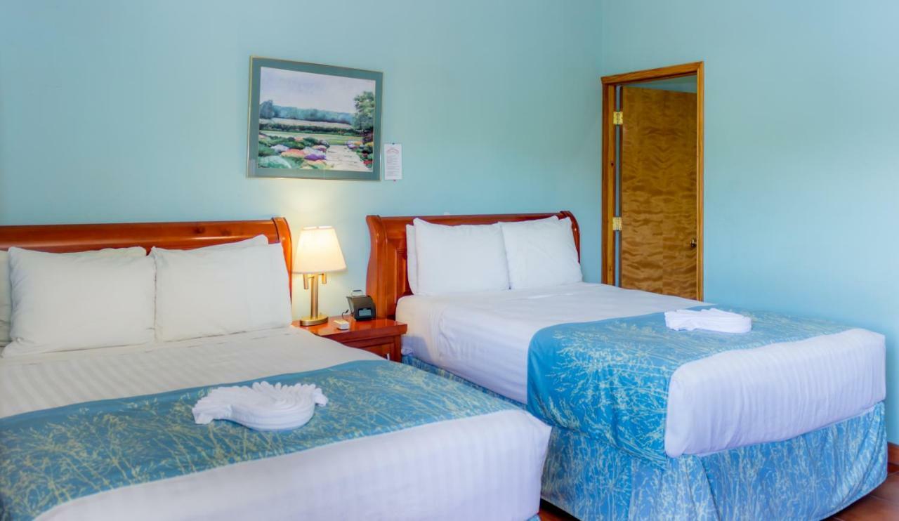 Rolson Hotel سان إجناسيو المظهر الخارجي الصورة